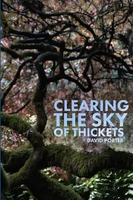 Curățarea cerului de desișuri - Clearing the Sky of Thickets