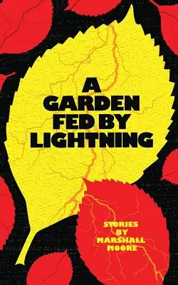 O grădină hrănită de fulger - A Garden Fed by Lightning