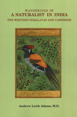 Rătăcirile unui naturalist în India, Himalaya de Vest și Cashmere - Wanderings of a Naturalist in India, the Western Himalayas and Cashmere