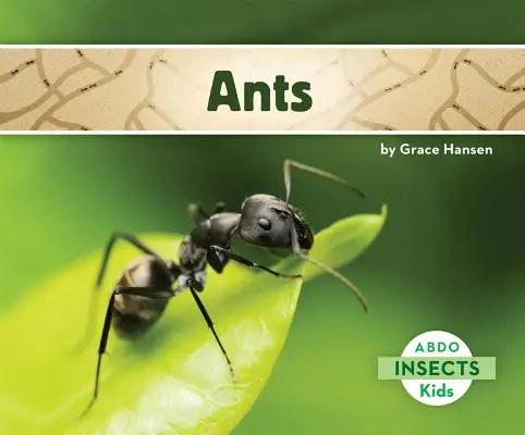 Furnici - Ants