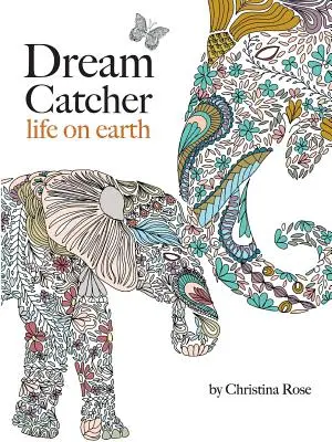 Dream Catcher: viața pe pământ - Dream Catcher: life on earth