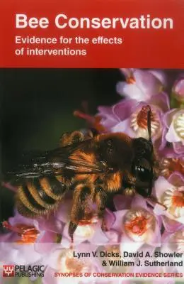 Conservarea albinelor: Dovezi ale efectelor intervențiilor - Bee Conservation: Evidence for the effects of interventions