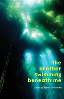 The Brother Swimming Beneath Me (Fratele care înoată sub mine) - The Brother Swimming Beneath Me