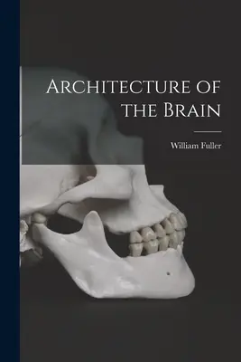 Arhitectura creierului - Architecture of the Brain