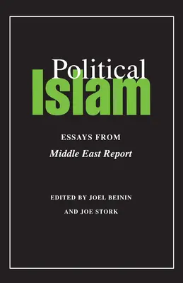Islamul politic: Eseuri din Middle East Report - Political Islam: Essays from Middle East Report