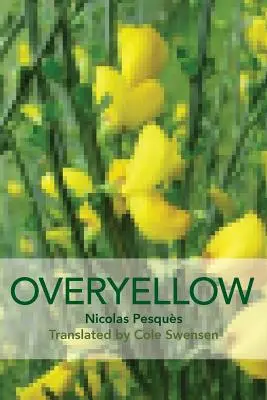 Overyellow: Poemul ca instalație de artă - Overyellow: The Poem as Installation Art