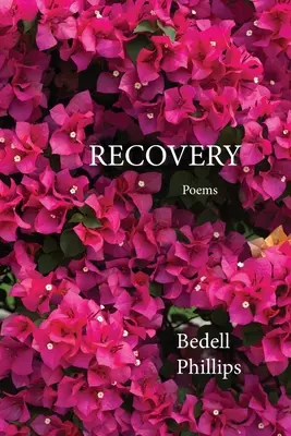 Recuperare - Recovery
