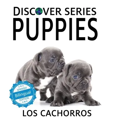 Cățeluși / Los cachorros - Puppies / Los cachorros