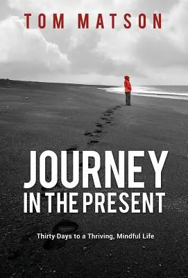 Călătorie în prezent - Journey in the Present