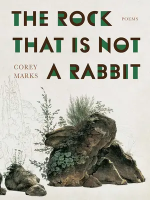 Stânca care nu este un iepure: Poezii - The Rock That Is Not a Rabbit: Poems