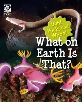 Ce naiba este asta? - What on Earth Is That?