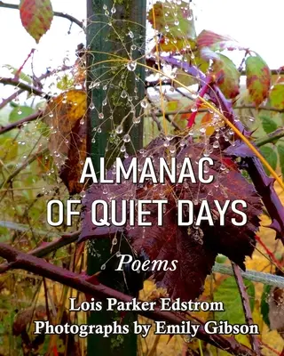 Almanah de zile liniștite - Almanac of Quiet Days