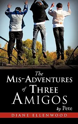 Aventurile MIS ale celor trei prieteni - The MIS-Adventures of Three Amigos