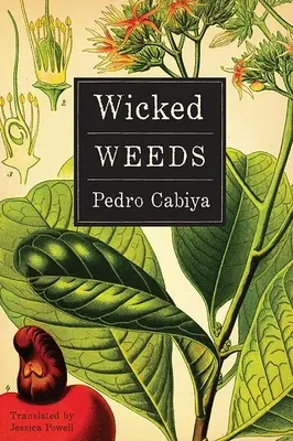 Wicked Weeds: Un roman despre zombi - Wicked Weeds: A Zombie Novel