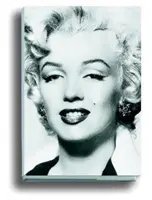 Silver Marilyn - Marilyn și camera foto - Silver Marilyn - Marilyn and the Camera