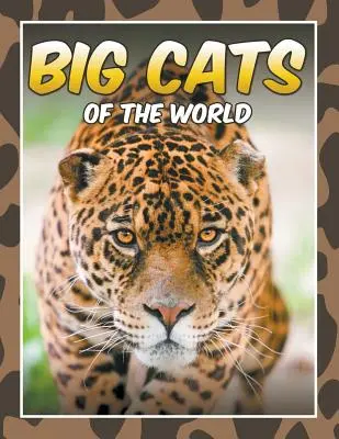 Pisicile mari ale lumii - Big Cats of the World