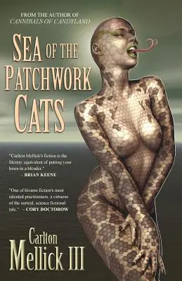 Marea pisicilor patchwork - Sea of the Patchwork Cats
