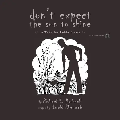 Nu te aștepta ca soarele să strălucească - Don't Expect the Sun to Shine