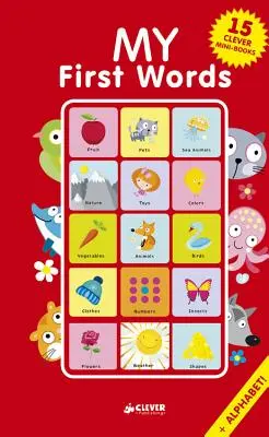 Primele mele cuvinte: 15 mini-cărți inteligente Box Set - My First Words: 15 Clever Mini-Books Box Set