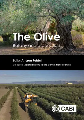 Măslinul: Botanică și producție - The Olive: Botany and Production