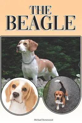 Beagle-ul: Un ghid complet și cuprinzător pentru începători pentru: Cumpărarea, Deținerea, Sănătatea, Îngrijirea, Dresajul, Obediența, Înțelegerea - The Beagle: A Complete and Comprehensive Beginners Guide To: Buying, Owning, Health, Grooming, Training, Obedience, Understanding