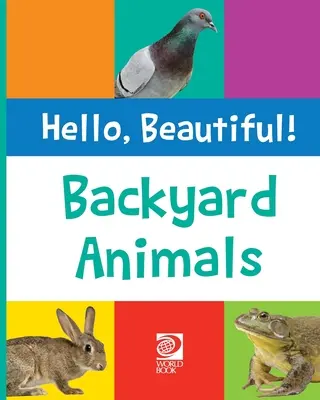 Animale din curtea din spate - Backyard Animals