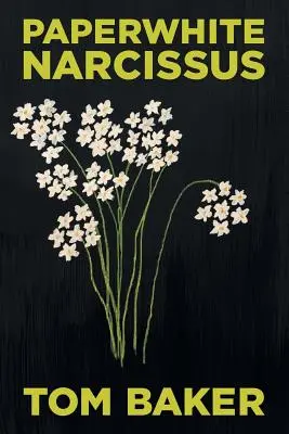 Narcisa albă ca hârtia - Paperwhite Narcissus