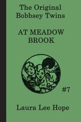 Gemenii Bobbsey la Meadow Brook - The Bobbsey Twins at Meadow Brook
