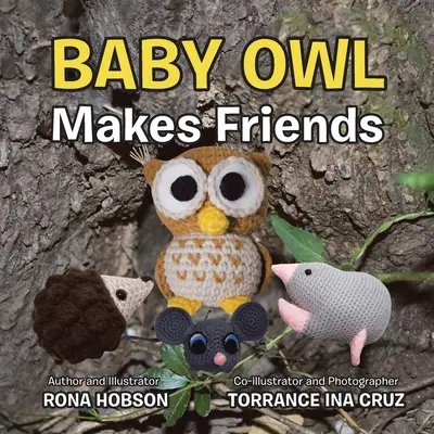 Bebelușul bufniță își face prieteni - Baby Owl Makes Friends