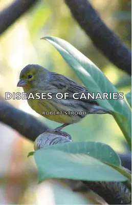 Bolile canarilor - Diseases of Canaries
