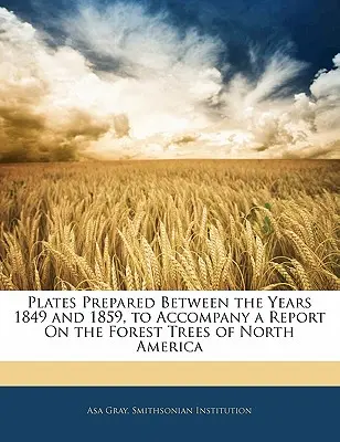 Planșe pregătite între anii 1849 și 1859 pentru a însoți un raport privind arborii forestieri din America de Nord (Plates Prepared Between the Years 1849 and 1859, to Accompany a Report on the Forest Trees of North America) - Plates Prepared Between the Years 1849 and 1859, to Accompany a Report on the Forest Trees of North America