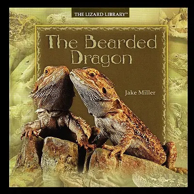 Dragonul bărbos - Bearded Dragon