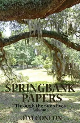 Documentele Springbank: Prin ochii soarelui - Springbank Papers: Through the Sun's Eyes