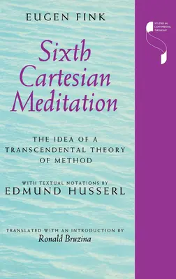 A șasea meditație carteziană: Ideea unei teorii transcendentale a metodei - Sixth Cartesian Meditation: The Idea of a Transcendental Theory of Method