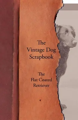 Scrapbook-ul câinelui de epocă - Flat Coated Retriever - The Vintage Dog Scrapbook - The Flat Coated Retriever