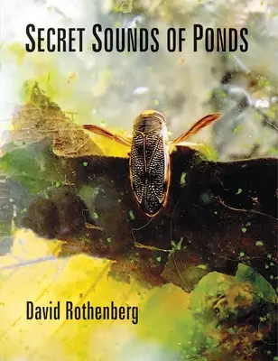 Sunetele secrete ale iazurilor - Secret Sounds of Ponds