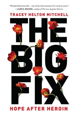 Marea reparație: Speranță după heroină - The Big Fix: Hope After Heroin