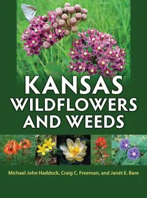 Flori sălbatice și buruieni din Kansas - Kansas Wildflowers and Weeds