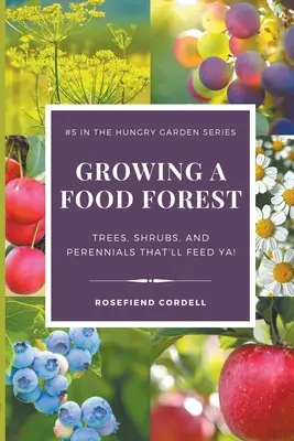 Cultivarea unei păduri alimentare - Arbori, arbuști și plante perene care vă vor hrăni! - Growing a Food Forest - Trees, Shrubs, & Perennials That'll Feed Ya!