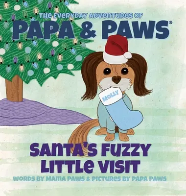 Mica vizită pufoasă a lui Moș Crăciun - Santa's Fuzzy Little Visit
