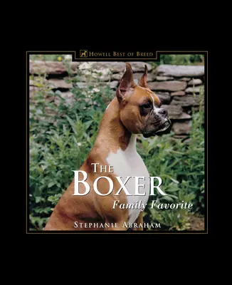 Boxerul: Favoritul familiei - The Boxer: Family Favorite