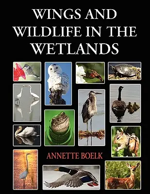 Aripi și animale sălbatice în zonele umede - Wings and Wildlife in the Wetlands