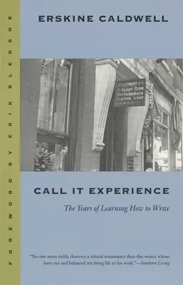 Call It Experience: Anii în care am învățat să scriu - Call It Experience: The Years of Learning How to Write