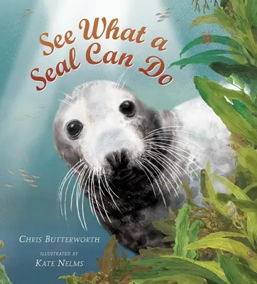 Vedeți ce poate face o focă - See What a Seal Can Do