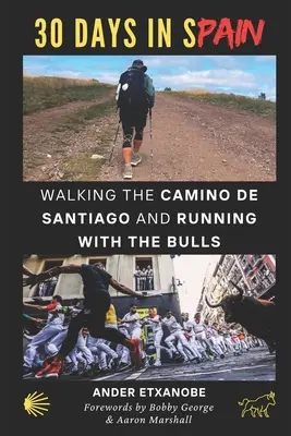 30 de zile în Spania: Pe jos pe Camino de Santiago și alergând cu taurii - 30 Days in Spain: Walking the Camino de Santiago and Running with the Bulls