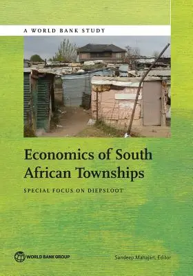 Economia Townships din Africa de Sud: Accent special pe Diepsloot - Economics of South African Townships: Special Focus on Diepsloot