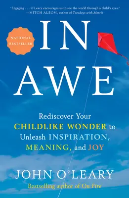 In Awe: Redescoperă-ți minunea copilărească pentru a dezlănțui inspirația, sensul și bucuria - In Awe: Rediscover Your Childlike Wonder to Unleash Inspiration, Meaning, and Joy