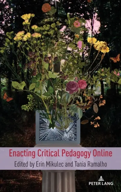 Punerea în aplicare a pedagogiei critice online - Enacting Critical Pedagogy Online