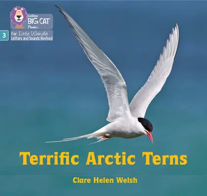 Grozavele stârci arctice - Faza 3 Set 2 - Terrific Arctic Terns - Phase 3 Set 2