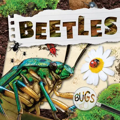 Gândacii - Beetles